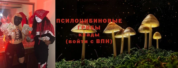 Альфа ПВП Алзамай