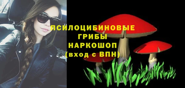 Альфа ПВП Алзамай