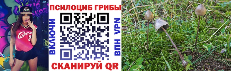 Псилоцибиновые грибы ЛСД  Лихославль 